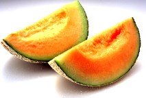 Fresh cantaloupe melon slice